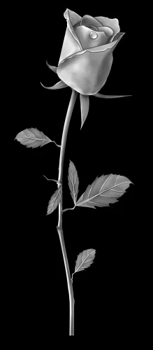 Цветок 018 (роза)