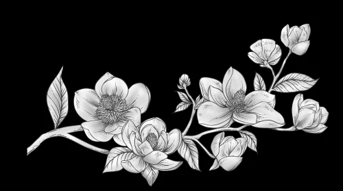 Ветка цветов 037 (магнолия)