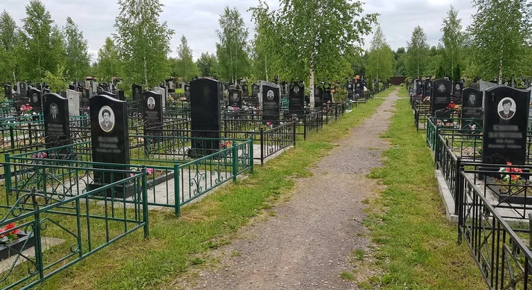 Аллея на Богословском кладбище в Петербурге